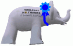white-elephant-blue-ribbon