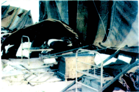 Atomic-Xmas-Island-living-q