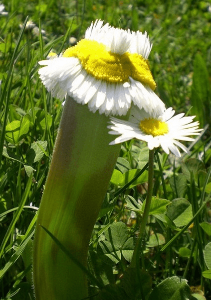 Screenshot from 2013-04-20 00:35:02