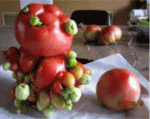 tomatoes-mutated