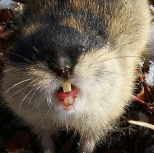 Screenshot from 2013-07-30 05:35:49