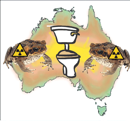 Aust--cane-toad-toilet