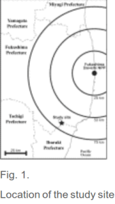 Screenshot from 2013-12-09 23:38:39