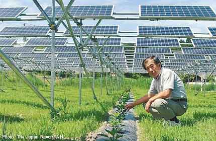 solar sharing Japan
