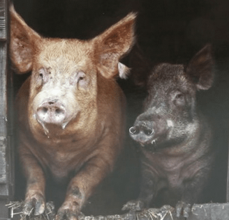 Screenshot from 2014-02-27 04:00:23