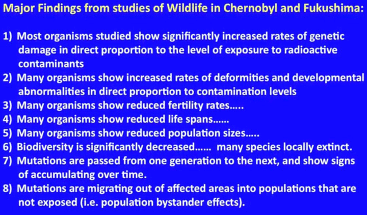 text-Mousseau-Chernobyl