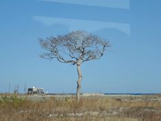 10155758_624653117618419_2054479199742506637_n