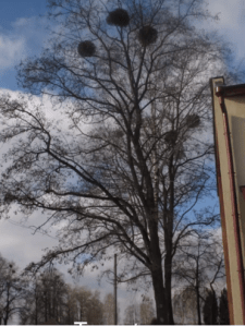 Screenshot from 2014-04-20 03:21:47