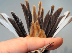 Screenshot from 2014-06-05 15:56:17