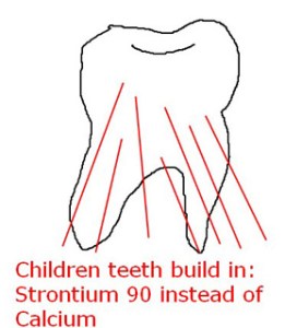 dagram-strontium-in-teeth