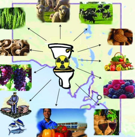 South Australia nuclear toilet