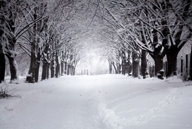 Will we ever see a White Christmas again?