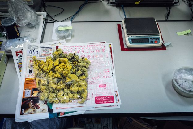 _88697287_976x_dsc4035