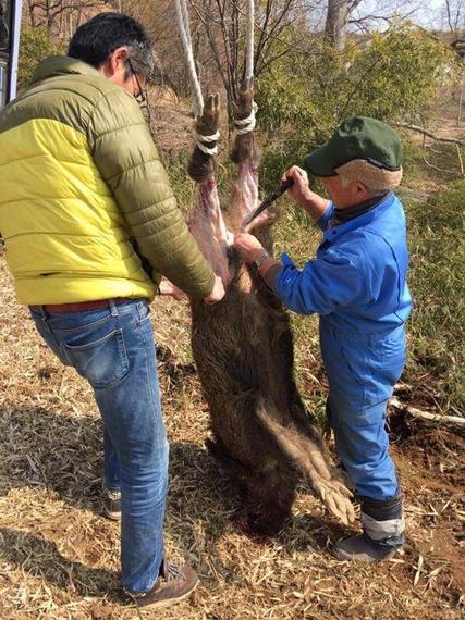 2016-04-03-1459708361-215955-IMG_0745_2-thumb