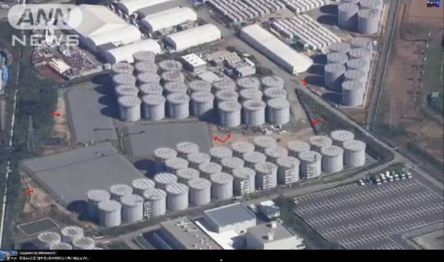 empty pits magically got lids..jpg