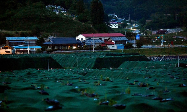 12 june 2016 lifting evacuation order.jpg