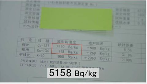 13445623_1026695770740853_8800172239473362661_n