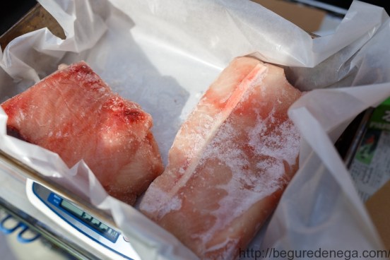 Contaminated fish, 10 juin 2016.3.jpg