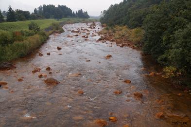 Copyright_2015_DNDJR_Fukushima_Pref_-_the_Acidic_Nagasegawa_River-393x261