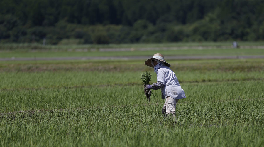Fukushima rice sold to Britain june 20 2016.jpg