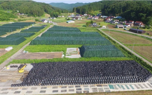 katsurao june 13 2016.jpg