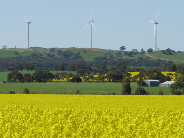 Wind turbines in South Australia. Photo by Fairv8. CC BY-SA 4.0. Wikimedia Commons.