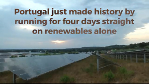 Greenpeace Portugal History May 2016 All Renewables