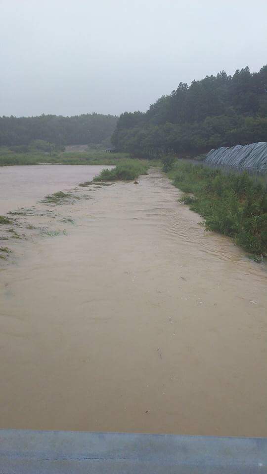 14192167_1775346096088265_420030013641003059_n