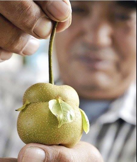 14322229_1088966111180485_4229094612340104477_n