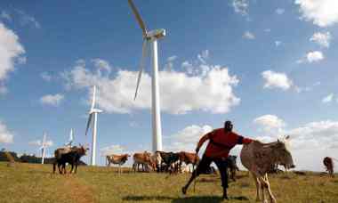 A Masaai herdsman looking after cattle (Photo: Thomas Mukoya / Reuters/REUTERS)