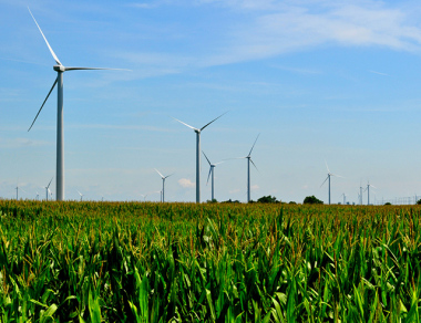 Illinois farm (Photo by Tom via  flickr.com, creative commons license.)