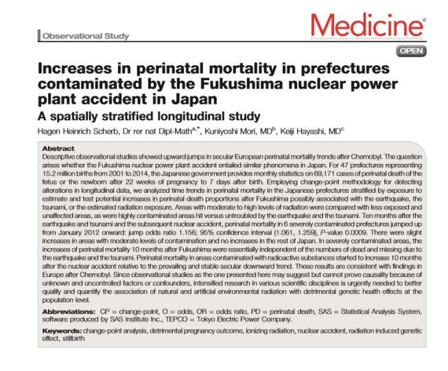 3 oct 2016 perinatal mortality.jpg