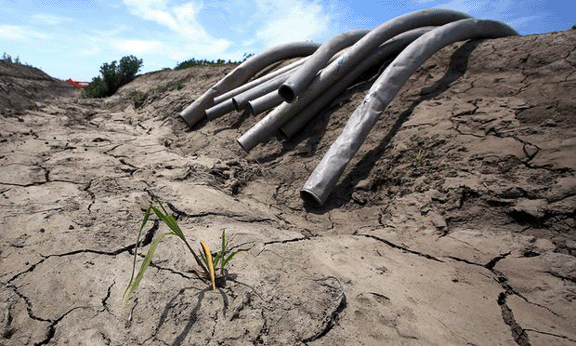 drought-calif-irrigation