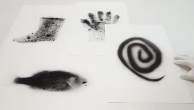 Radiography 14 oct 2016.jpg