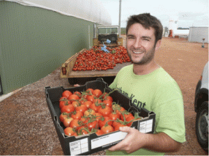 sundrop-farms-david-pratt