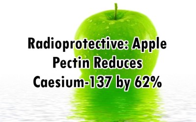 apple_radioprotective