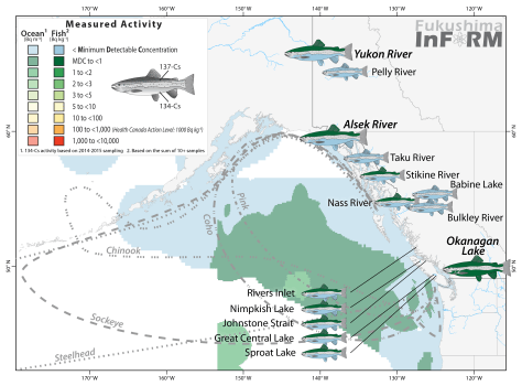 inform-salmon-2015-river_nov 15 2016.png