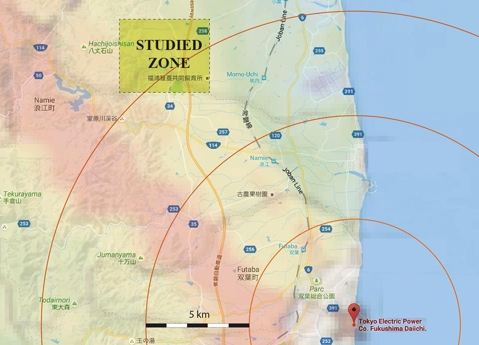 Minamisoma contamination map oct 2016 2.jpg