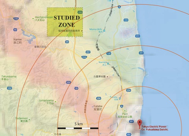 Minamisoma contamination map oct 2016 2.jpg