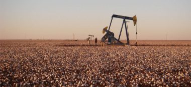 Oil extraction in a cotton field (Photo: Wikimedia)