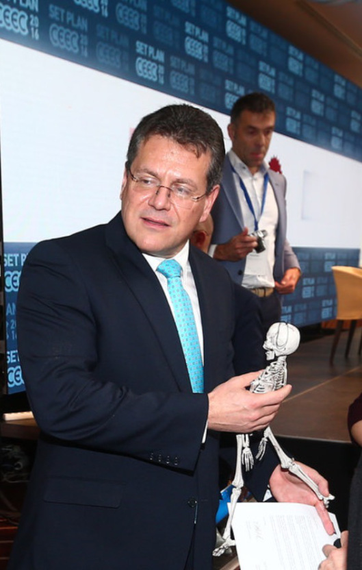 Skeletons are hiding in the closet of Europe's energy policy by Bankwatch cropped