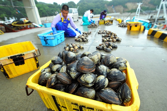 nov-6-2016-iwaki-clams