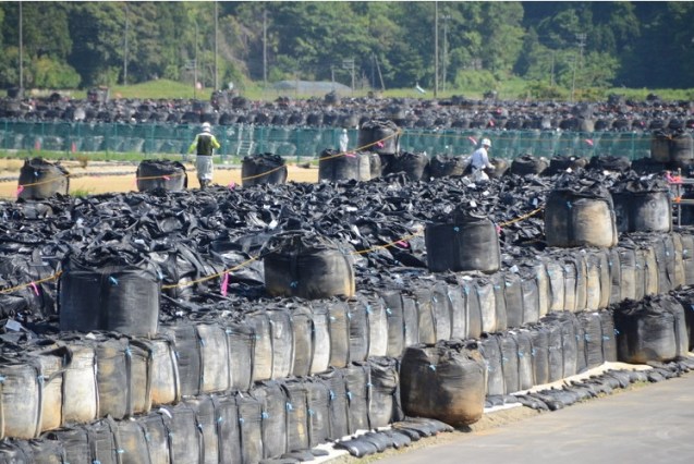 june 2016 minamisoma.jpg