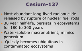 text-cesium