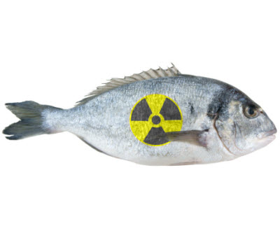 radioactive_fukushima_fish_333