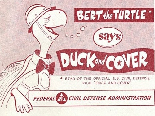 duck_cover_turtle