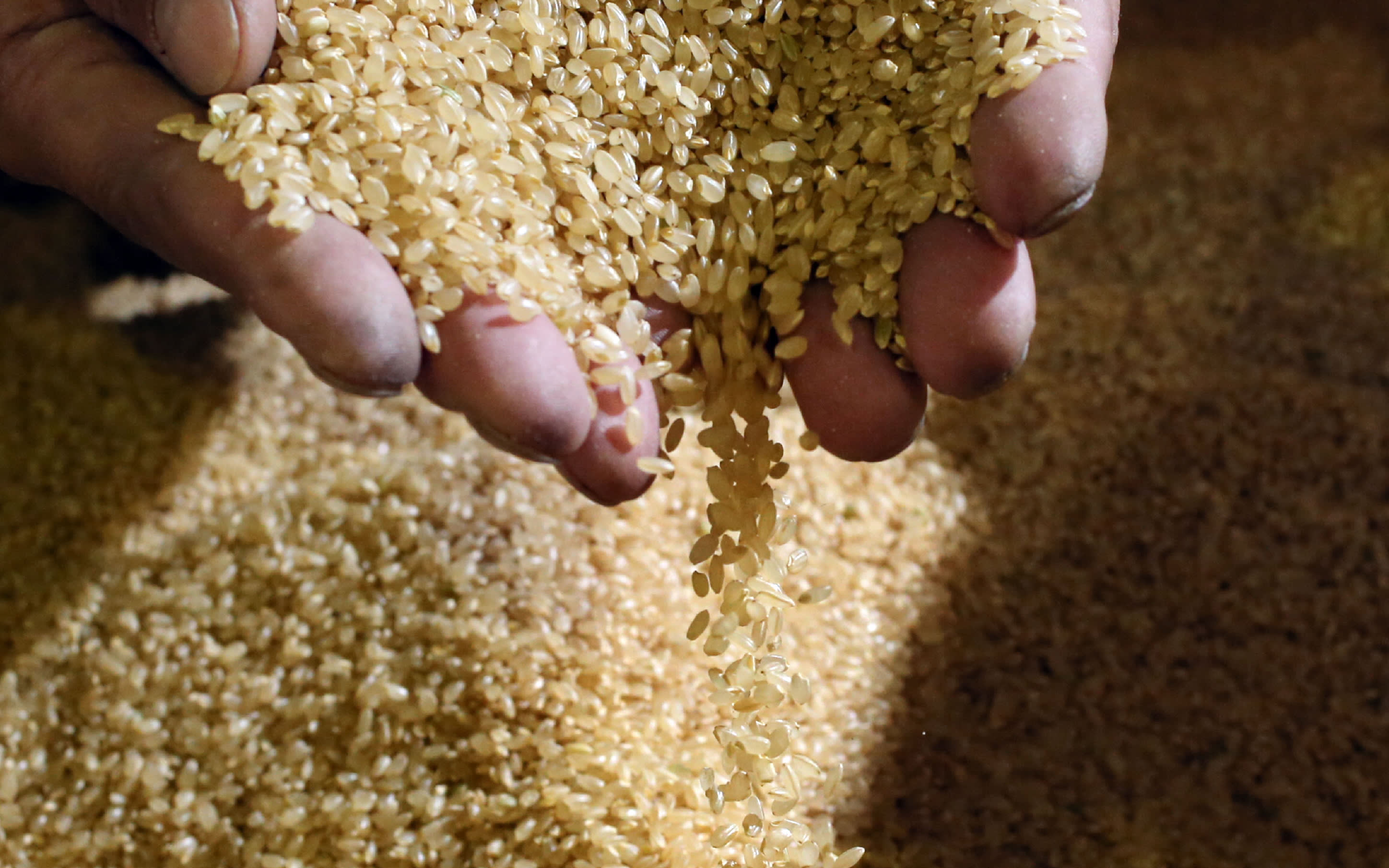 https _s3-ap-northeast-1.amazonaws.com_psh-ex-ftnikkei-3937bb4_images_4_7_0_7_13897074-6-eng-GB_20180514_rice.jpg