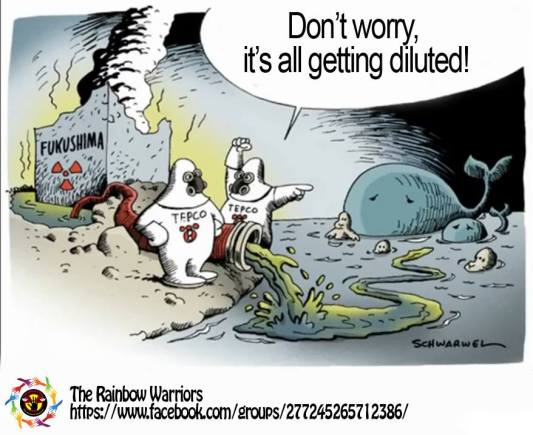 945546_10204102155434059_2728664498121278949_n