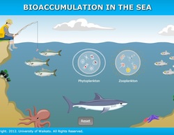 Bioaccumulation_in_the_sea