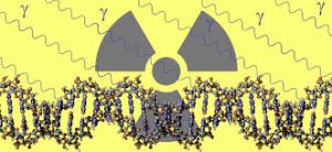 RADATION-graphic-300x138